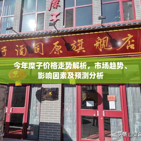 今年糜子價(jià)格走勢(shì)解析，市場(chǎng)趨勢(shì)、影響因素及預(yù)測(cè)分析