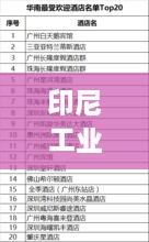 印尼工業(yè)材料TOP10排行榜，揭秘最受歡迎的十大材料