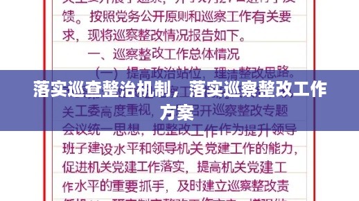 落實(shí)巡查整治機(jī)制，落實(shí)巡察整改工作方案 