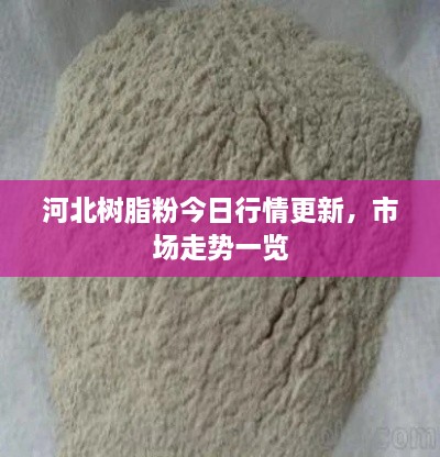 河北樹(shù)脂粉今日行情更新，市場(chǎng)走勢(shì)一覽