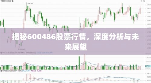 揭秘600486股票行情，深度分析與未來展望