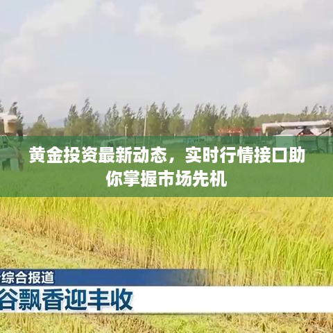 黃金投資最新動態(tài)，實(shí)時行情接口助你掌握市場先機(jī)