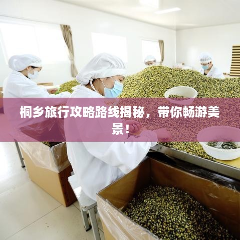 桐鄉(xiāng)旅行攻略路線揭秘，帶你暢游美景！
