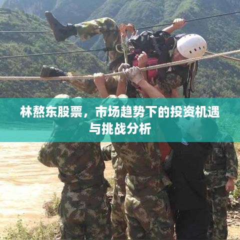 林熬東股票，市場趨勢下的投資機(jī)遇與挑戰(zhàn)分析