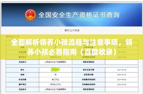 全面解析領(lǐng)養(yǎng)小孩流程與注意事項(xiàng)，領(lǐng)養(yǎng)小孩必看指南（百度收錄）