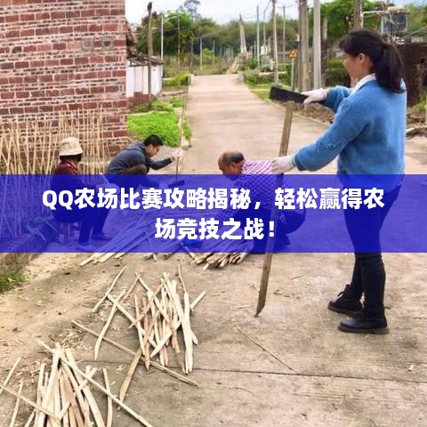 QQ農(nóng)場(chǎng)比賽攻略揭秘，輕松贏得農(nóng)場(chǎng)競(jìng)技之戰(zhàn)！