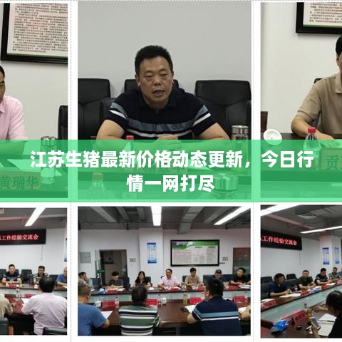 江蘇生豬最新價(jià)格動(dòng)態(tài)更新，今日行情一網(wǎng)打盡