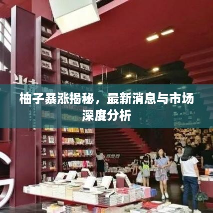 柚子暴漲揭秘，最新消息與市場深度分析