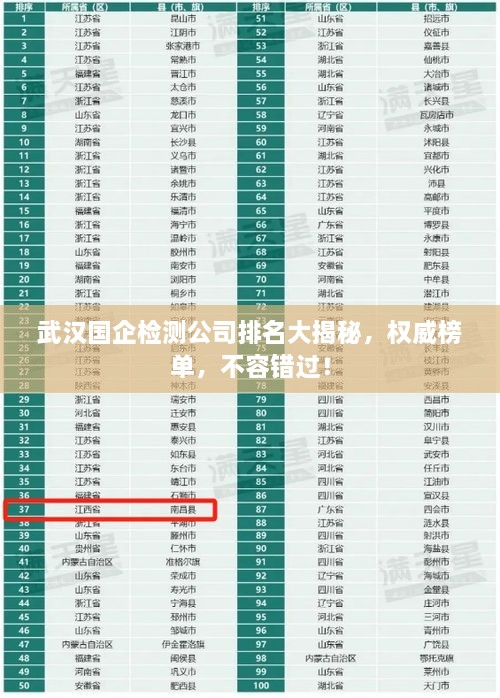武漢國(guó)企檢測(cè)公司排名大揭秘，權(quán)威榜單，不容錯(cuò)過(guò)！