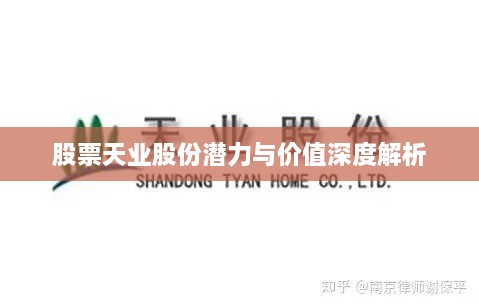 股票天業(yè)股份潛力與價值深度解析