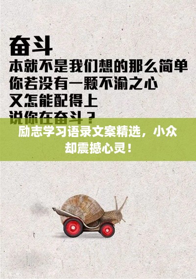 勵志學(xué)習(xí)語錄文案精選，小眾卻震撼心靈！