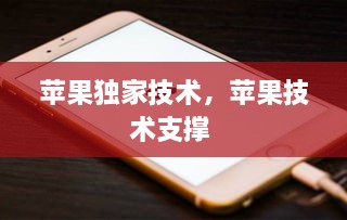 蘋果獨(dú)家技術(shù)，蘋果技術(shù)支撐 