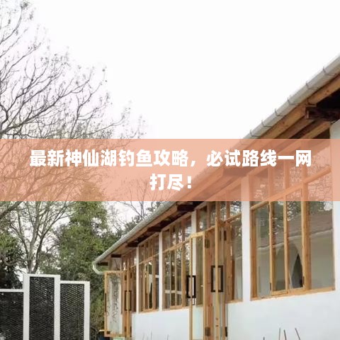 最新神仙湖釣魚攻略，必試路線一網(wǎng)打盡！