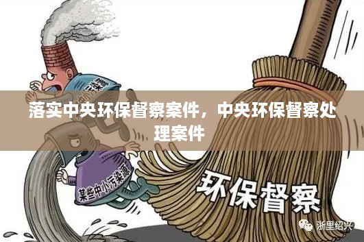 落實(shí)中央環(huán)保督察案件，中央環(huán)保督察處理案件 