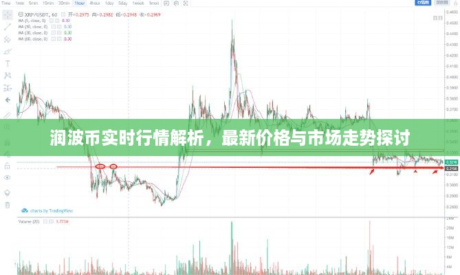 潤(rùn)波幣實(shí)時(shí)行情解析，最新價(jià)格與市場(chǎng)走勢(shì)探討
