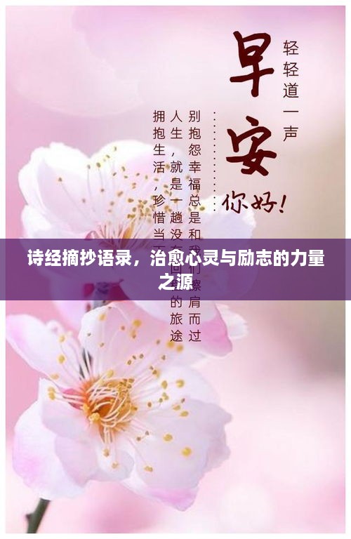 詩(shī)經(jīng)摘抄語(yǔ)錄，治愈心靈與勵(lì)志的力量之源