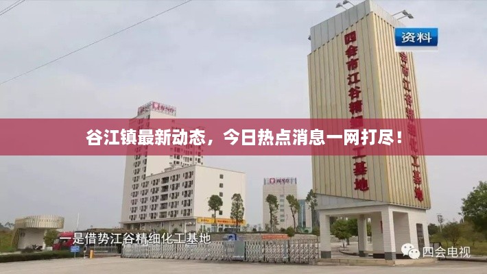 谷江鎮(zhèn)最新動態(tài)，今日熱點消息一網(wǎng)打盡！