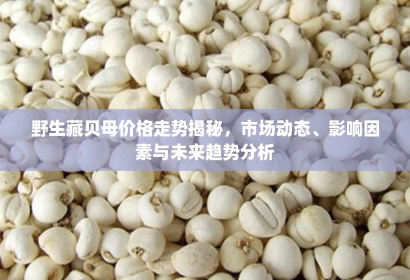 野生藏貝母價格走勢揭秘，市場動態(tài)、影響因素與未來趨勢分析