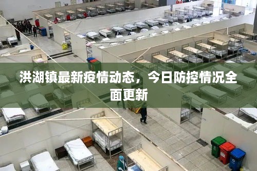 洪湖鎮(zhèn)最新疫情動(dòng)態(tài)，今日防控情況全面更新