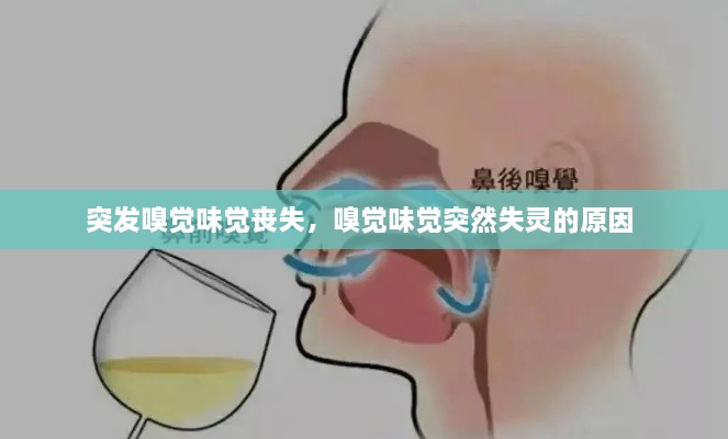 突發(fā)嗅覺(jué)味覺(jué)喪失，嗅覺(jué)味覺(jué)突然失靈的原因 