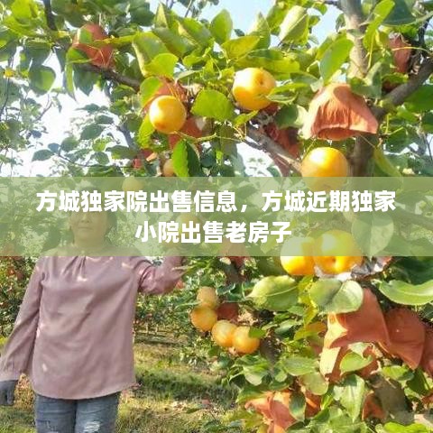 方城獨(dú)家院出售信息，方城近期獨(dú)家小院出售老房子 