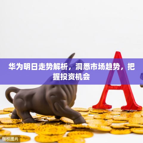 華為明日走勢解析，洞悉市場趨勢，把握投資機(jī)會