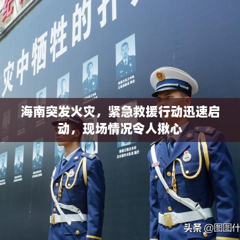 海南突發(fā)火災，緊急救援行動迅速啟動，現(xiàn)場情況令人揪心