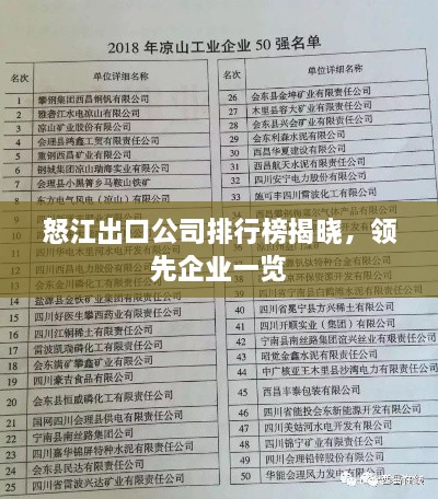 怒江出口公司排行榜揭曉，領(lǐng)先企業(yè)一覽