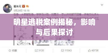 明星逃稅案例揭秘，影響與后果探討
