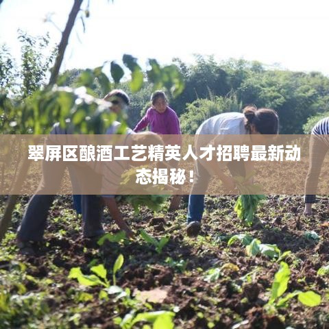 翠屏區(qū)釀酒工藝精英人才招聘最新動(dòng)態(tài)揭秘！