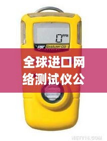 全球進(jìn)口網(wǎng)絡(luò)測試儀公司排名大揭秘！