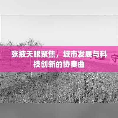 張掖天眼聚焦，城市發(fā)展與科技創(chuàng)新的協(xié)奏曲