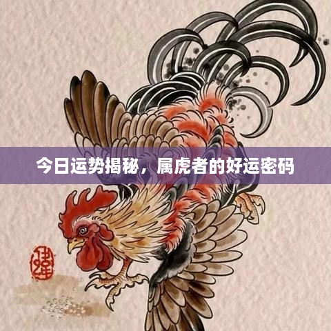 今日運(yùn)勢(shì)揭秘，屬虎者的好運(yùn)密碼