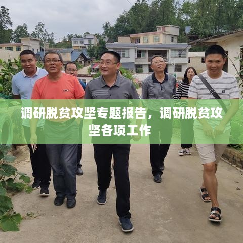 調(diào)研脫貧攻堅專題報告，調(diào)研脫貧攻堅各項工作 