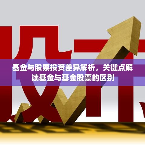 基金與股票投資差異解析，關(guān)鍵點(diǎn)解讀基金與基金股票的區(qū)別