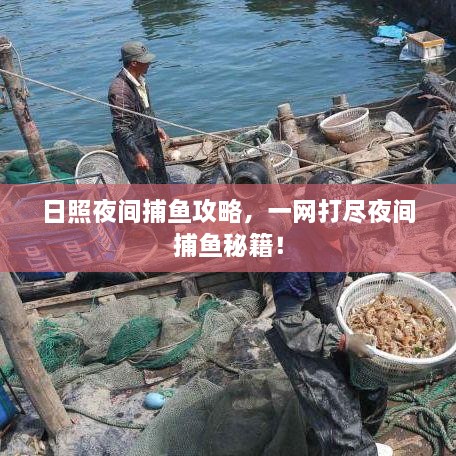 日照夜間捕魚攻略，一網打盡夜間捕魚秘籍！