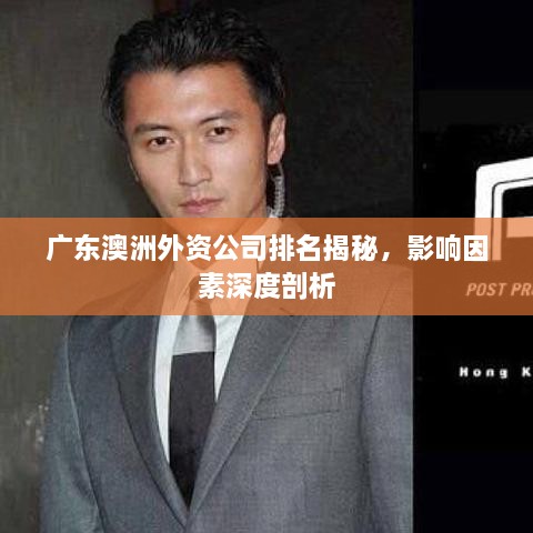 廣東澳洲外資公司排名揭秘，影響因素深度剖析