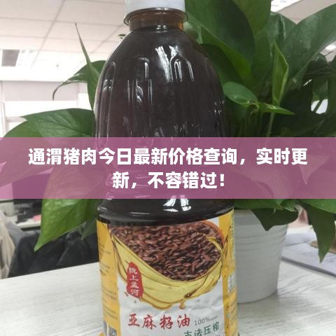 通渭豬肉今日最新價(jià)格查詢，實(shí)時(shí)更新，不容錯過！