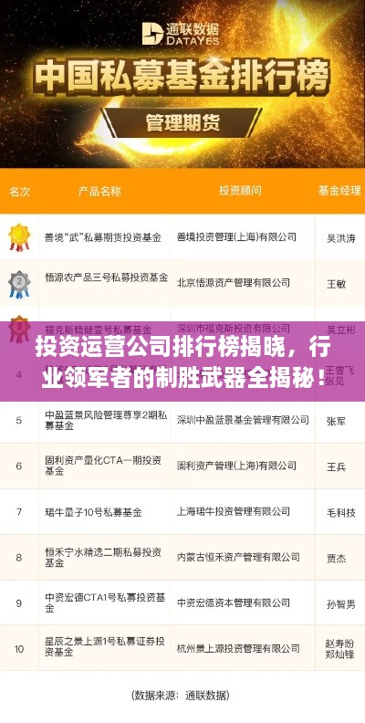 投資運(yùn)營公司排行榜揭曉，行業(yè)領(lǐng)軍者的制勝武器全揭秘！