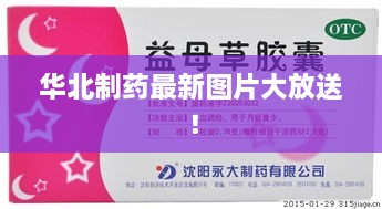 華北制藥最新圖片大放送！