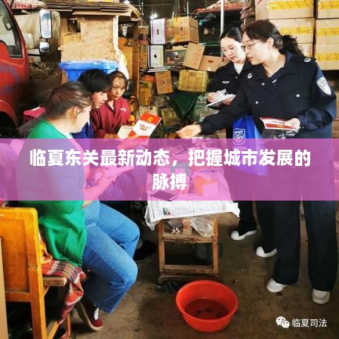 臨夏東關最新動態(tài)，把握城市發(fā)展的脈搏