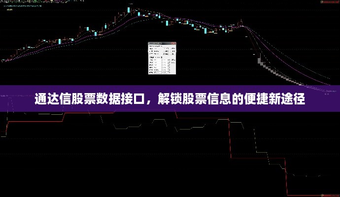 通達(dá)信股票數(shù)據(jù)接口，解鎖股票信息的便捷新途徑