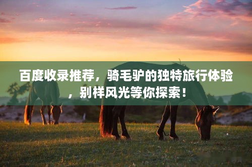 百度收錄推薦，騎毛驢的獨特旅行體驗，別樣風光等你探索！