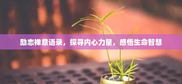 勵志禪意語錄，探尋內(nèi)心力量，感悟生命智慧
