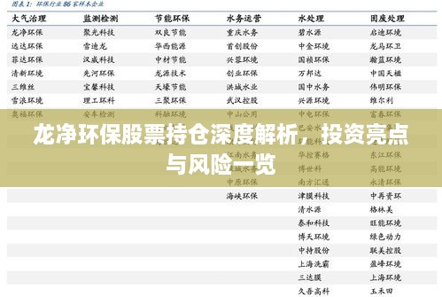 龍凈環(huán)保股票持倉深度解析，投資亮點與風(fēng)險一覽
