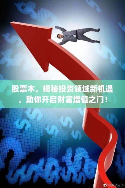 股票木，揭秘投資領(lǐng)域新機(jī)遇，助你開啟財(cái)富增值之門！
