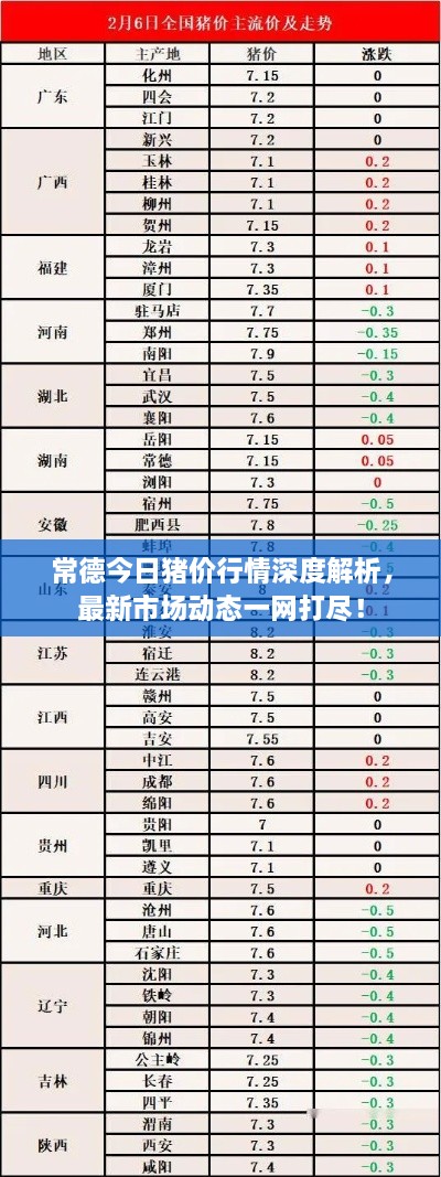 常德今日豬價行情深度解析，最新市場動態(tài)一網打盡！