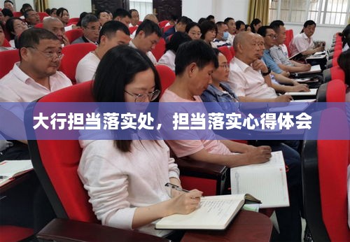 大行擔(dān)當(dāng)落實(shí)處，擔(dān)當(dāng)落實(shí)心得體會 