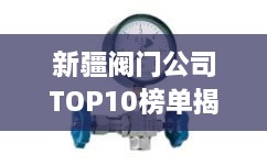 新疆閥門公司TOP10榜單揭曉，行業(yè)領(lǐng)軍者一覽無(wú)余