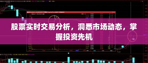 股票實(shí)時交易分析，洞悉市場動態(tài)，掌握投資先機(jī)